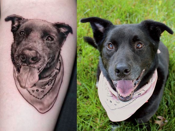 Möchte jemand mein Katzentattoo sehen?