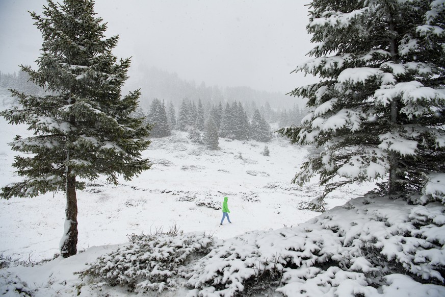 Eine Frau wandert ueber die frisch verschneite Hochebene Palfries, am Sonntag, 6. November 2016, in Azmoos. Eine Kaltfront brachte heute Regen, Schnee und tiefere Temperaturen. (KEYSTONE/Gian Ehrenzel ...