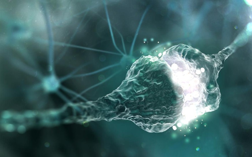 Synaptische Übertragung , Synapsen , menschliches Nervensystem (3D-Abbildung)