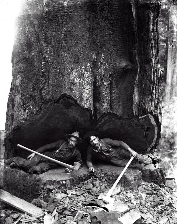 Holzfäller um 1900.
