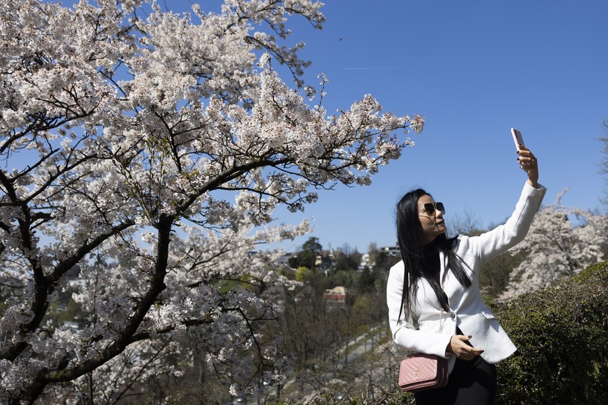 epa10566277 A woman from Thailand takes photographs under a cherry blossom tree on a Spring day in Bern, Switzerland, 09 April 2023. EPA/PETER KLAUNZER