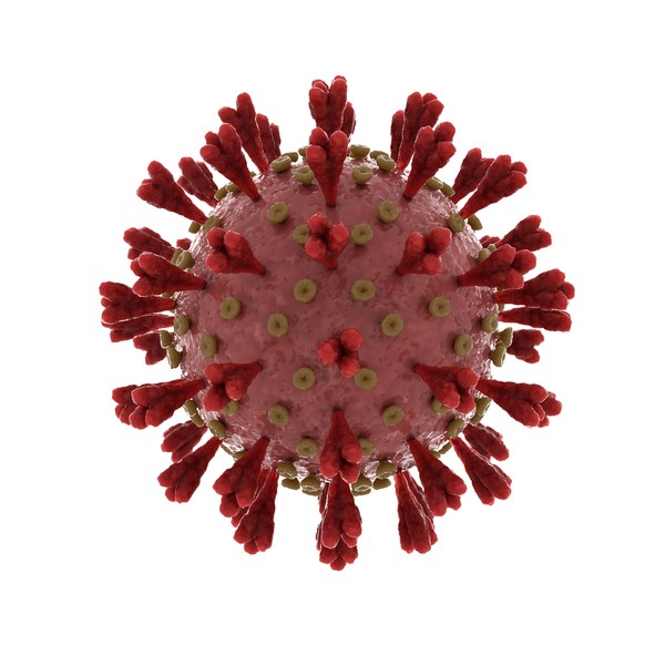 SARS-CoV-2, neues Coronavirus, Darstellung des Virus