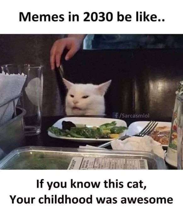 Wir suchen das Meme des Jahrzehnts – und du darfst unter 100 davon aussuchen!
Wie konnte die Katze vergessen werden? 😱😱