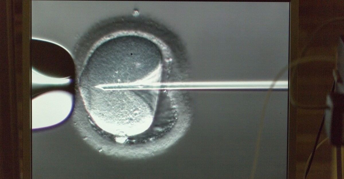 D-nischer-Spender-zeugt-fast-200-Kinder-Jahre-sp-ter-folgt-die-b-se-berraschung