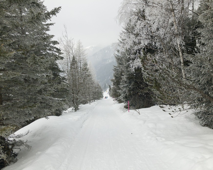 Rauszeit Kurze Winterwanderungen Malbun Sassförkle 101