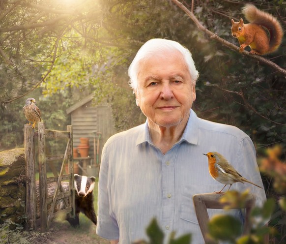 Secret Garden - Sir David Attenborough 2026 

https://www.bbc.co.uk/programmes/m002sthz