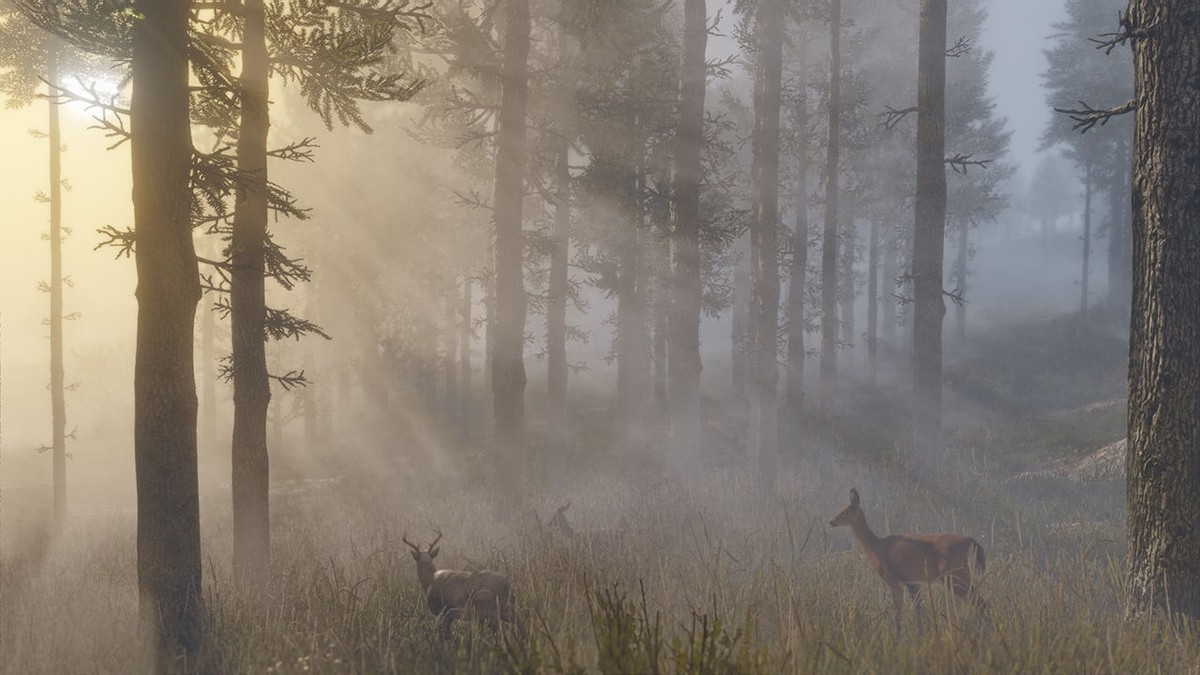 Sieht verdammt gut aus und spielt sich ganz okay: RDR2.