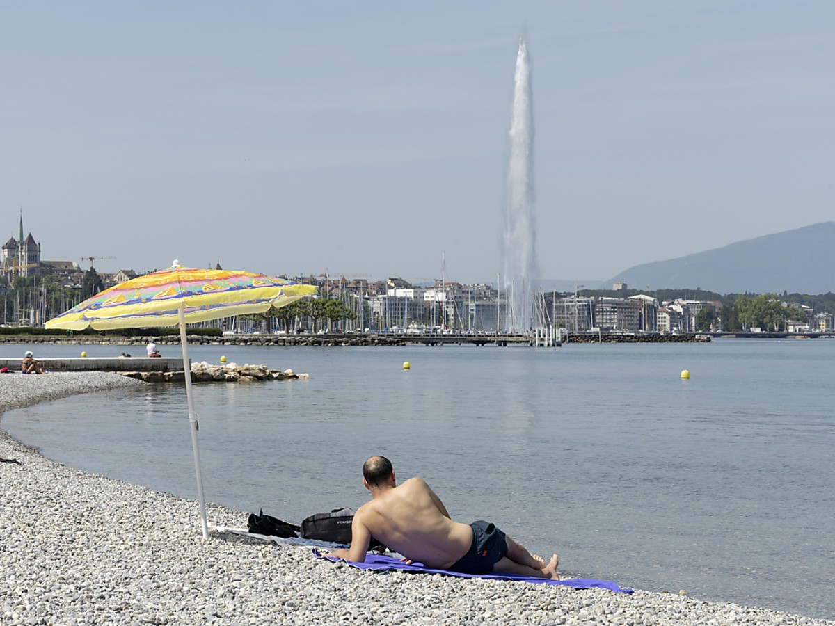 A Gen�ve, un rev�tement phonoabsorbant va �tre pos� au quai Gustave-Ador, le long de la plage des Eaux-Vives du 11 au 21 avril. Il permettra de r�duire le bruit du trafic motoris� (illustration).