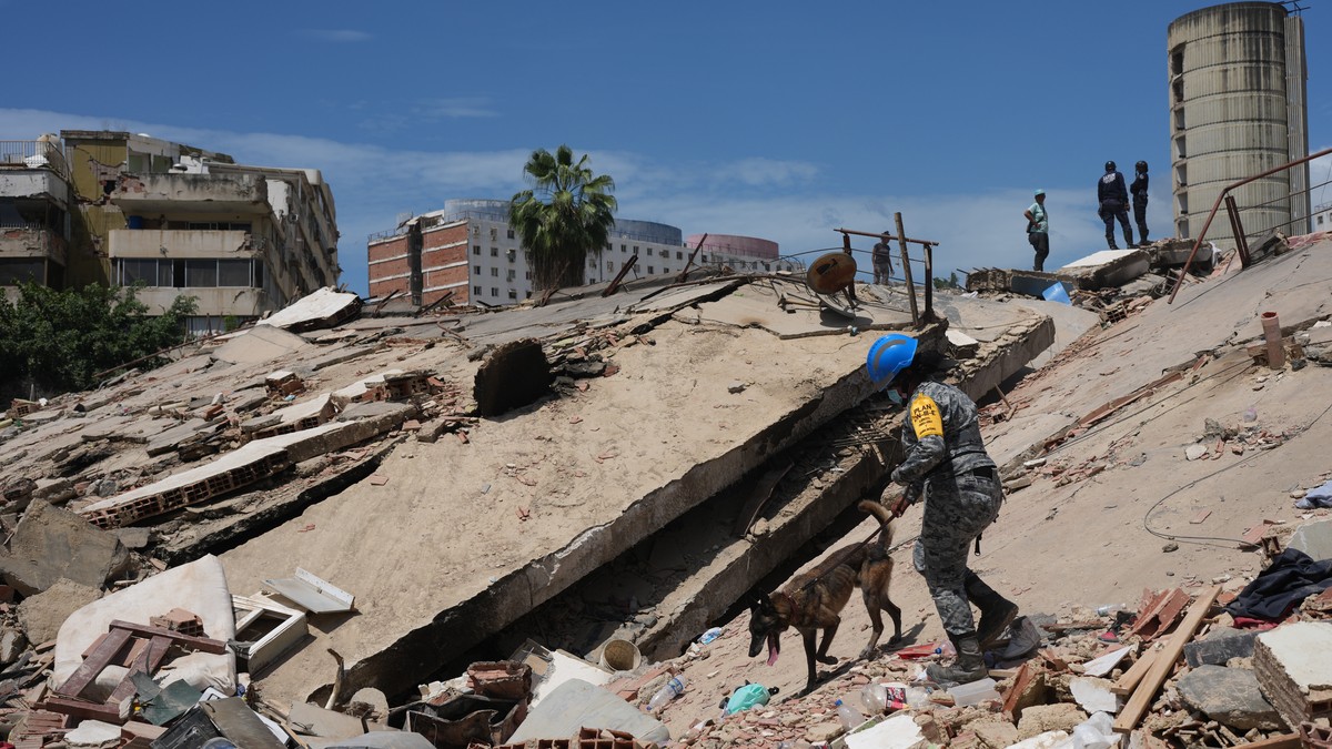 A Mexican rescue worker and a sniffer dog search through the rubble of a collapsed building in La Guaira, Venezuela, Saturday, June 27, 2026, three days after twin earthquakes struck the country. (AP  ...