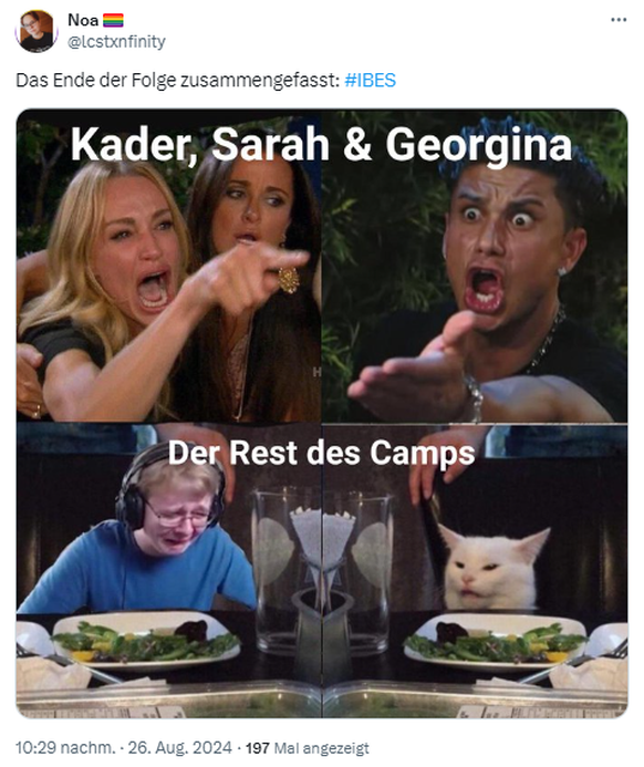 Dschungelcamp Meme 2024