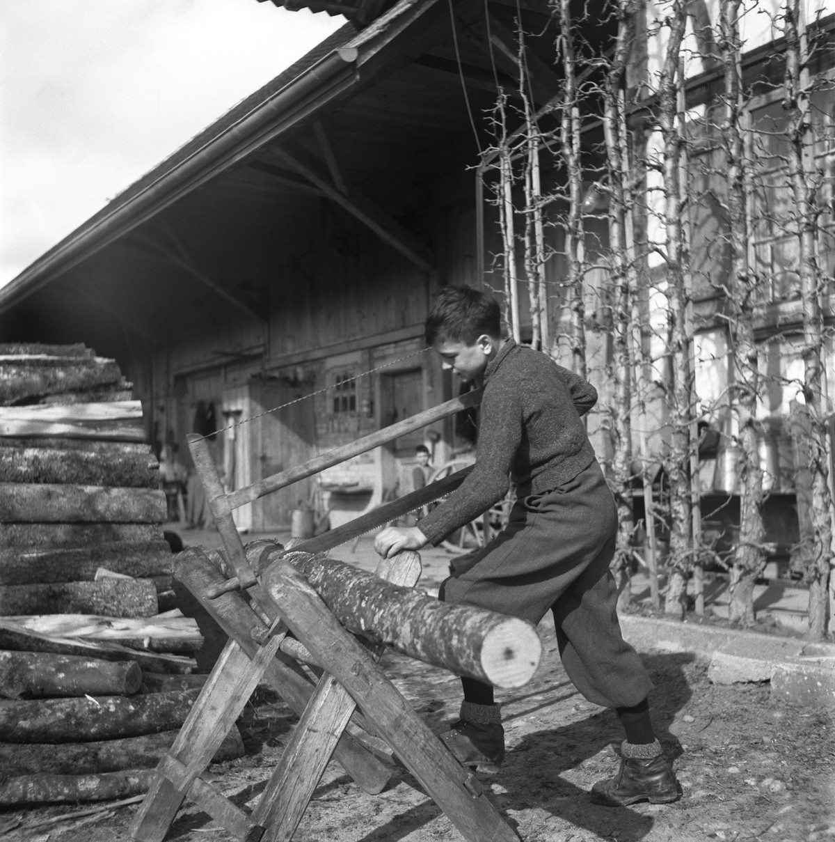 ARCHIV --- Aufnahme eines Verdingkindes waehrend der Arbeit, aufgenommen im Jahr 1945. Das Unrecht an Opfern fuersorgerischer Massnahmen bis in die 1980er-Jahre soll gesetzlich anerkannt werden. Der N ...