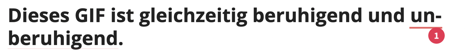 Korrektorat Fehler