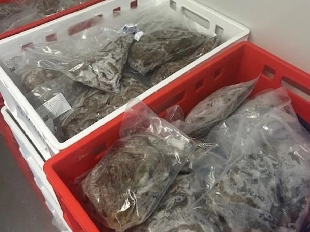Die Crevetten werden mit einem Rabatt von rund 60 Prozent auf den ursprünglichen Kilopreis verkauft.