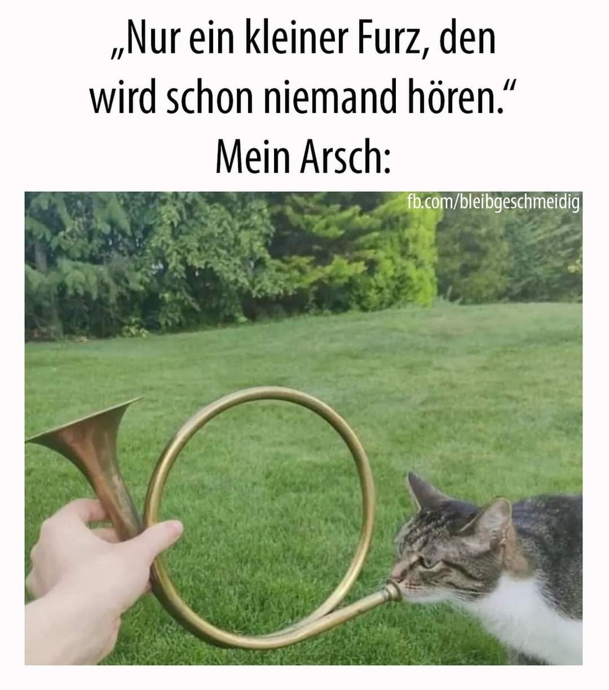 Picdump #2 вЂ“ weil die Welt dank Memes einfach ein besserer Ort ist!\nрџҐІ