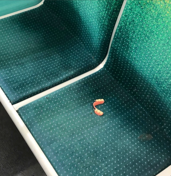 Gens dans le metro: Lustige und absurde Bilder aus dem Strassenbahn-Leben in Paris