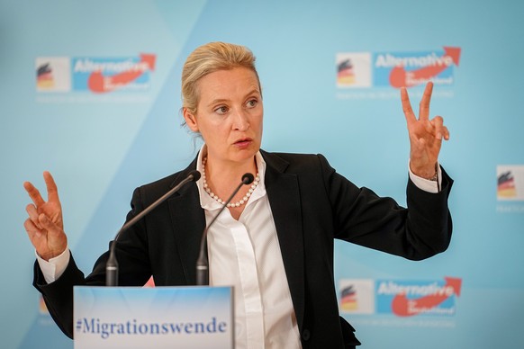 25.06.2024, Berlin: Alice Weidel, Partei- und Fraktionsvorsitzende der AfD, gibt zu Beginn der Fraktionssitzung ihrer Partei ein Pressestatement. Foto: Kay Nietfeld/dpa +++ dpa-Bildfunk +++