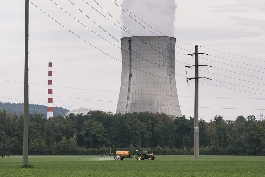 Das Kernkraftwerk Goesgen. Die vier grössten Stromproduzenten setzen weiterhin auf nukleare und fossile Energiequellen.