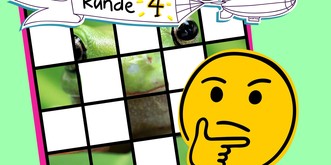Erkennst du alle 10 Tiere mit so wenigen Feldern wie möglich? 🐸