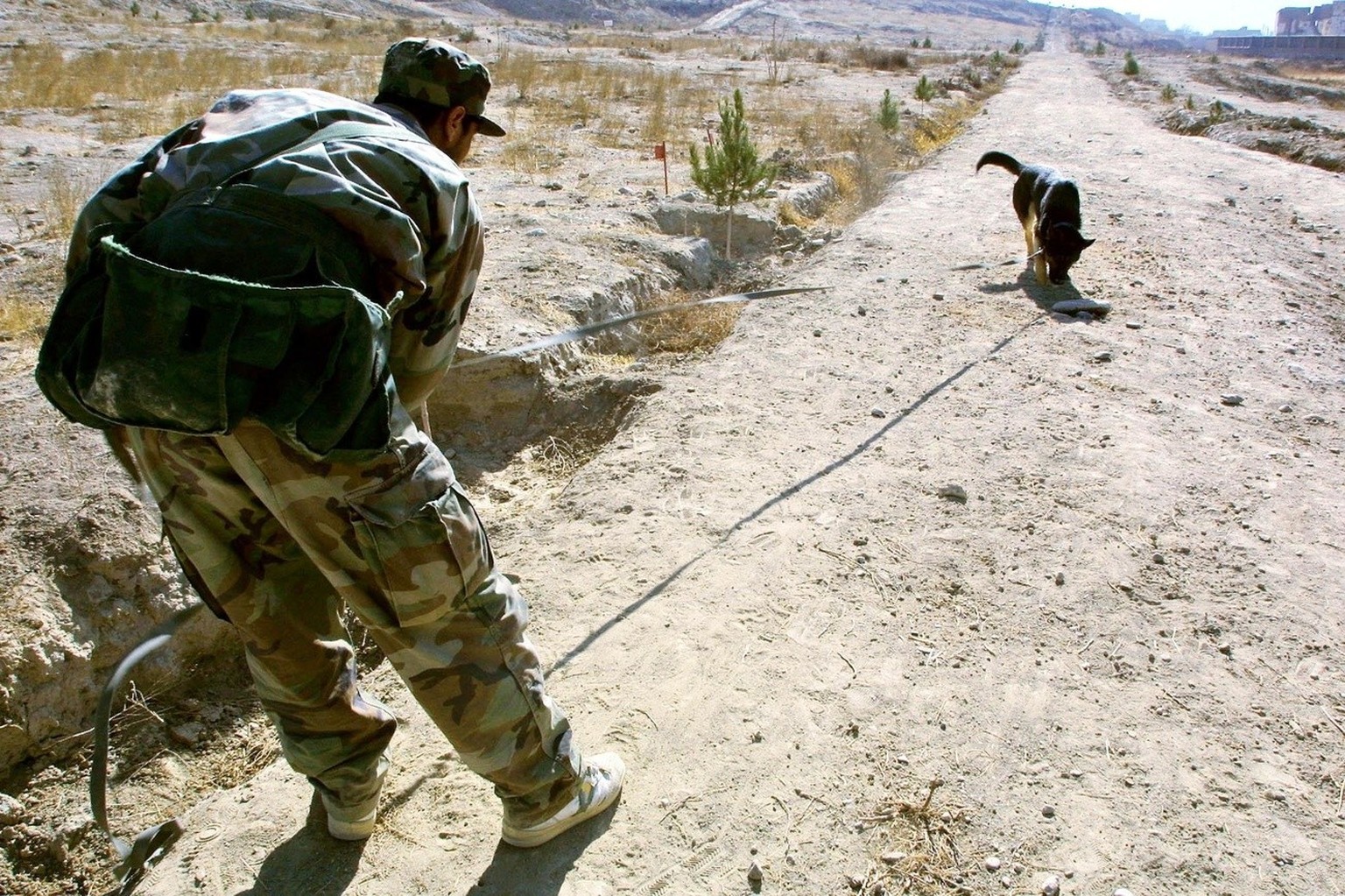 JL01 - 20020105 - KABUL, AFGHANISTAN: A dog sniffs the ground for mines during a training session at the training center of the German demining organization Mine Detection and Dog Center (MDC) in Kabul January 5…