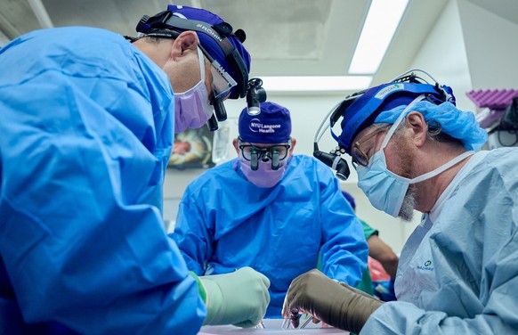 Transplantation einer Schweineniere, 2023.