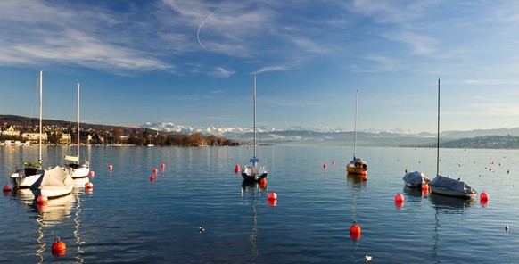 Der Zürichsee.
