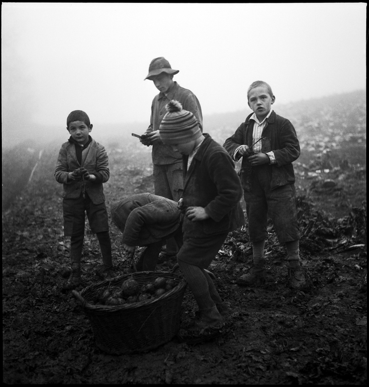 Knaben bei der Feldarbeit, Knabenerziehungsheim Oberbipp, Kanton Bern, 1940.&nbsp;