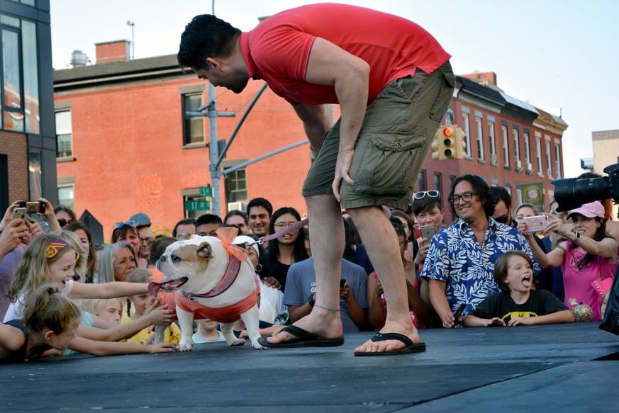 Dog Fashion Show, Hunde Fashion Show, NYC, Lola