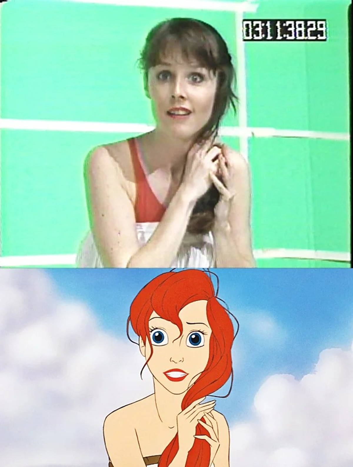 the little mermaid
die kleine meerjungfrau
ariel