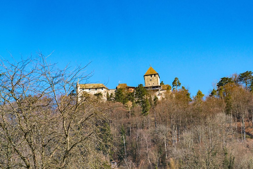 Die Burg Hohenklingen rund ein Kilometer vor der Grenze zu Deutschland.