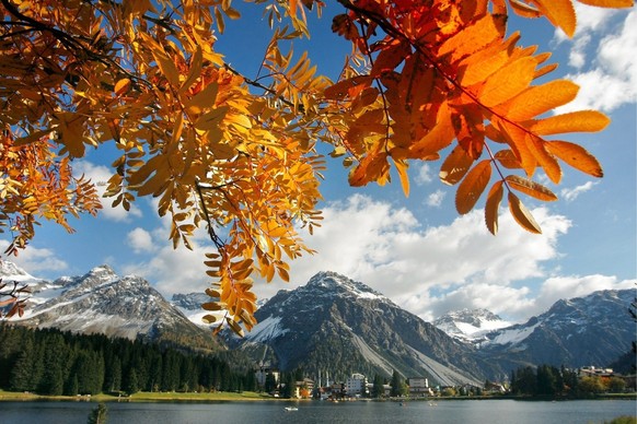 The leaves of a rowan berry tree shine red above the Obersee in Arosa, Canton of Grisons, Switzerland on Sunday, October 9, 2005. With fog in the morning and sunshine through the day, Switzerland sees ...