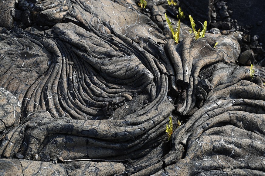 This photo shows some of the 1990 lava flow from Kilauea, one of the world&#039;s most active volcanoes, Sunday, May 6, 2018, in Kalapana, a town south of the Leilani Estates subdivision, Hawaii. Hawa ...