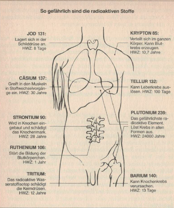 Radioaktives Material lagert sich im ganzen Körper ab. Darstellung aus dem Buch «Der Atomatlas», das Joss in Kathmandu in die Hände gefallen war.