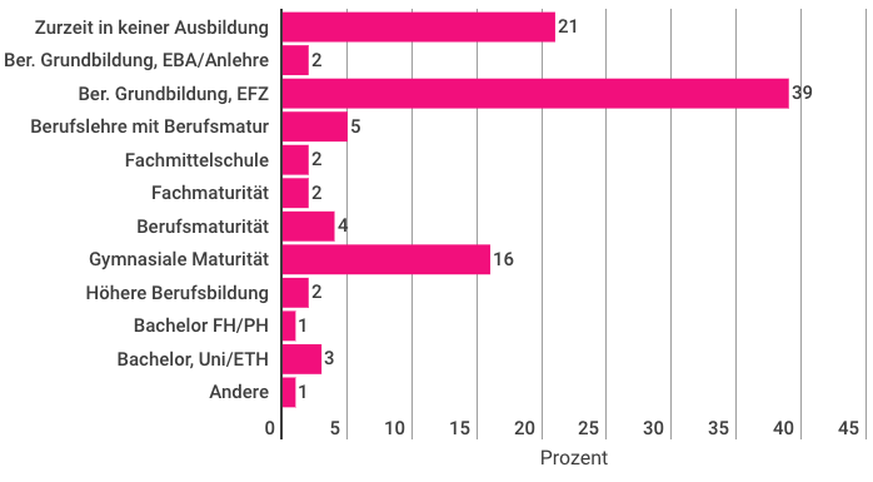 Lesebeispiel: 16 Prozent der 19-Jährigen machen derzeit eine gymnasiale Ausbildung.&nbsp;