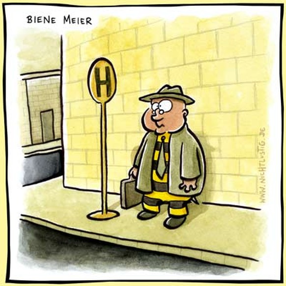 Die grösste Biene aller Zeiten lebt noch – und Leute, sie ist echt gross
Biene Meier ist noch grösser als Biene Maja 😉