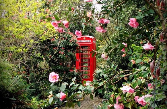 Rote Telefonzellen und ihre Umnützungen. 

https://www.redtelephonebox.com/