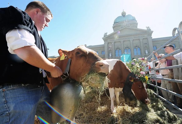 Hohes Ansehen als Chrampfer: Alphirt mit Kühen auf dem Bundesplatz anlässlich der traditionellen «Sichlete». (Bern, 12. September 2011)