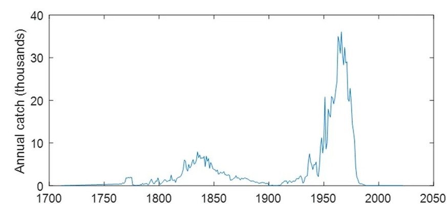 Fänge von Pottwalen, 1750-2000
https://www.nature.com/articles/s41598-022-24107-7/figures/4