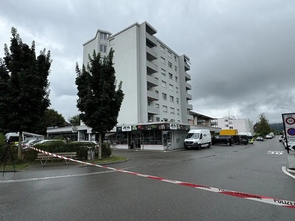 In Wohlen ist es an der Ecke Villmergerstrasse/Quellenweg zu einer Schussabgabe gekommen.