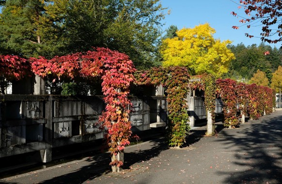 Bümpliz Friedhof