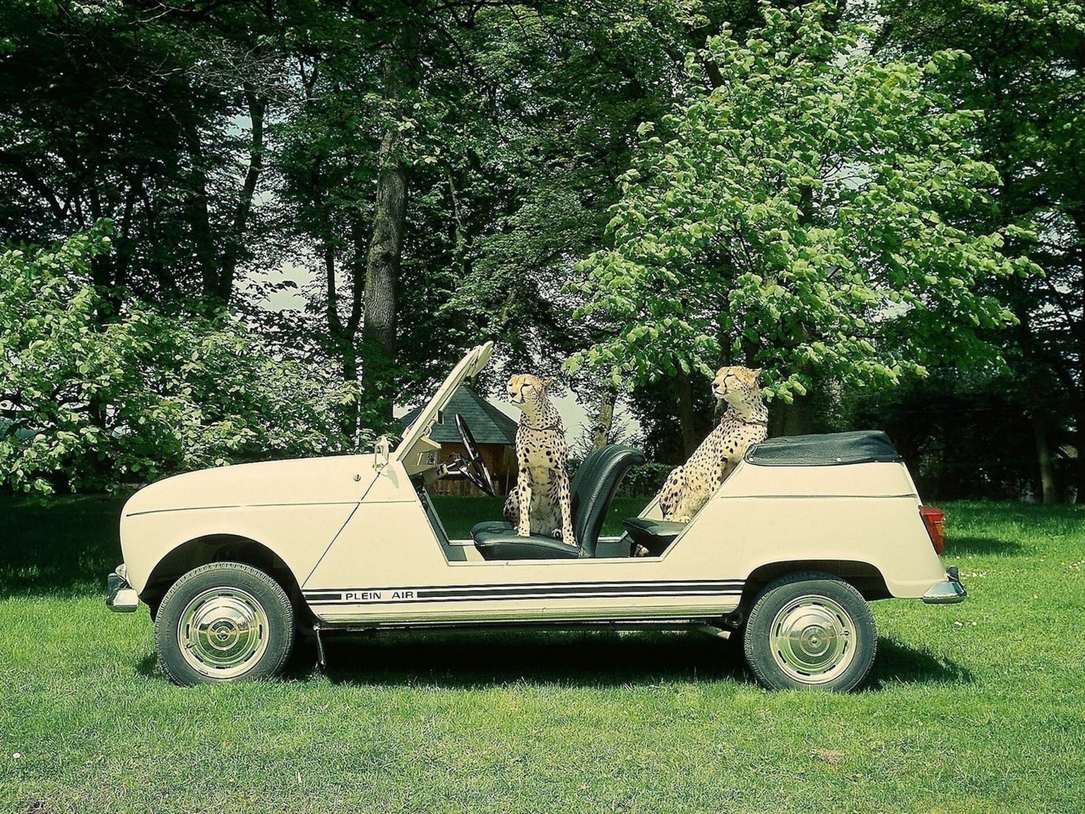 renault 4 plein air retro auto jeep frankreich https://www.autoplus.fr/renault/r4/actualite/ancienne-decapotable-Mehari-Renault-4-Plein-Air-1492365.html