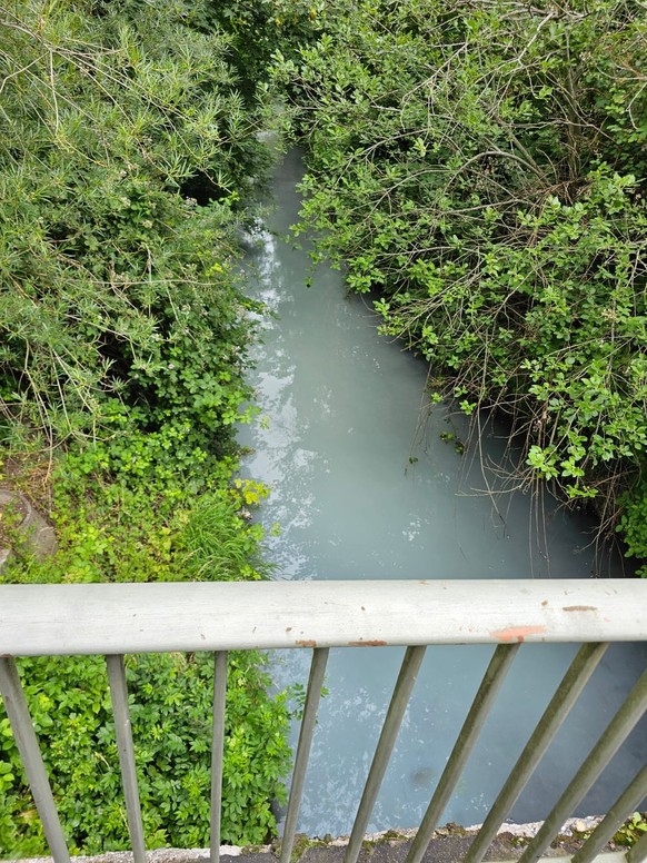 Eulach Gewässerverschmutzung Winterthur