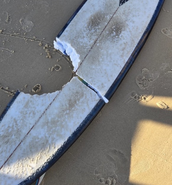 Nicka Atkins Australien Haiangriff beim Surfen