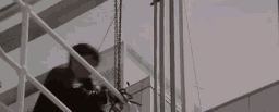 Animiertes GIF