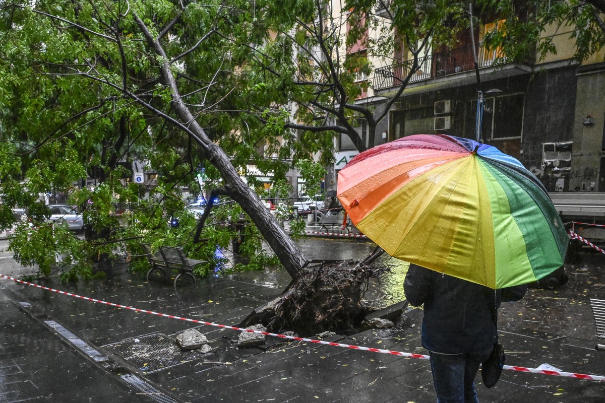 epa13291363 A pedestrian carrying an umbrella walks past a tree downed due to a storm, in Naples, Italy, 09 October 2026. The Campania Civil Protection Department issued an orange weather alert for he ...