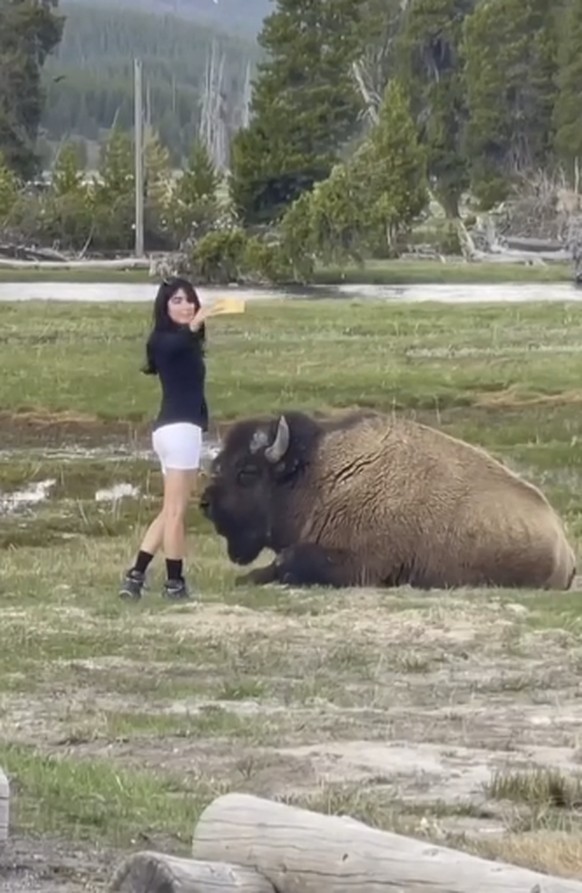 Influncers in the Wild