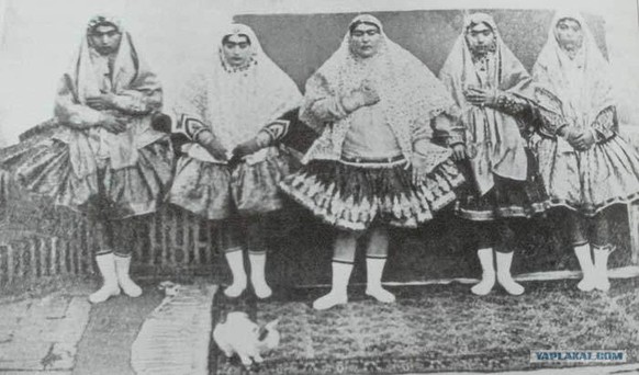 Einige der Frauen des Schahs, im Vordergrund das royale Kätzchen.