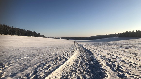 Die schÃ¶nsten Winterbilder aus jedem Kanton\nMein Favorit von Heute Morgen frÃ¼h aus der NÃ¤he von SaignelÃ©gier