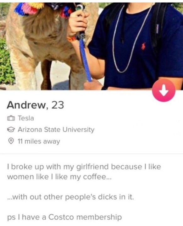 Lustige Tinder Profile