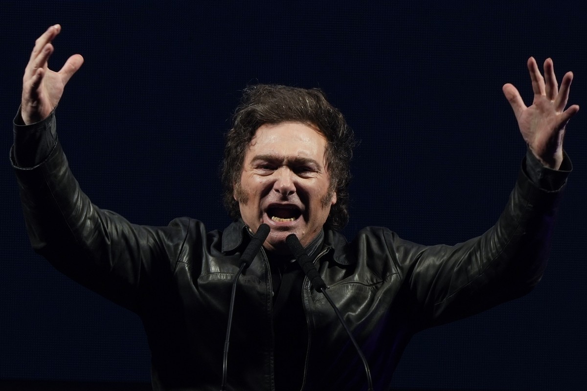 Argentina's President Javier Milei addresses supporters during a rally in Buenos Aires, Argentina, Saturday, Sept. 28, 2024. (AP Photo/Natacha Pisarenko)