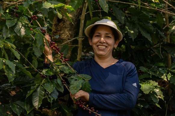 Dank Bio: Kaffeebäuerin Claudy Pinto kommt mit drei Hektaren über die Runden.
